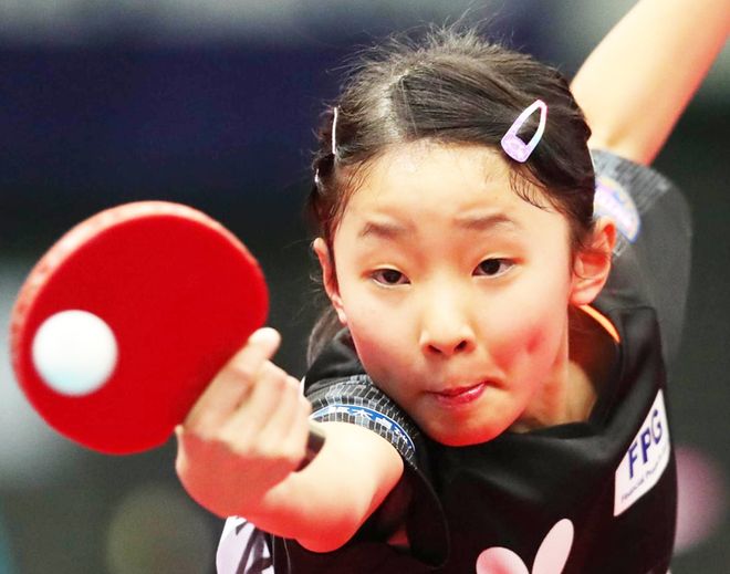 数的一部分 数的一部分